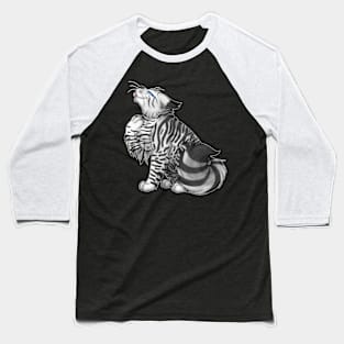 Silver Tabby Longhair Baseball T-Shirt